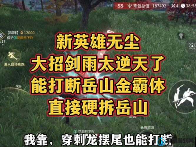 永劫无间游戏中大罗金仙角色三秒拆岳山，策略布局、技巧运用与价值最大化解析