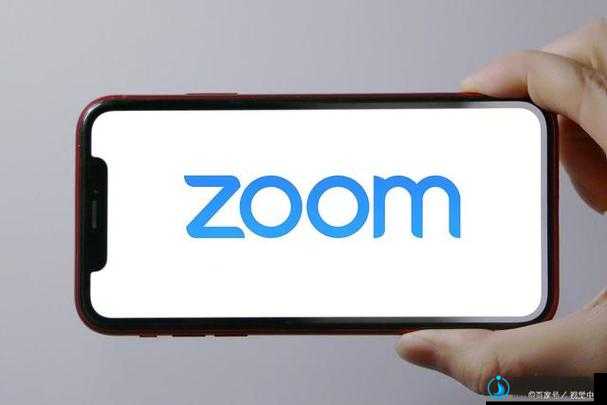 Zoom 与人性 Zoom 的区别：深度剖析两者的本质差异