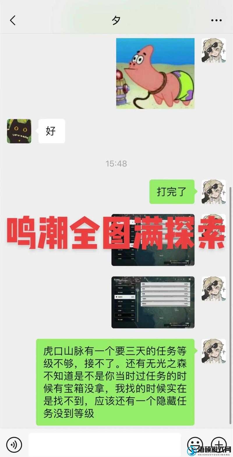 鸣潮奏鸣测试资格高效查询与利用攻略，基于资源管理视角的深度解析