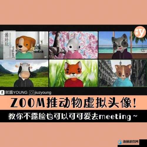 Zoom 与动物 Zoom 最新版本：开启奇妙探索之旅