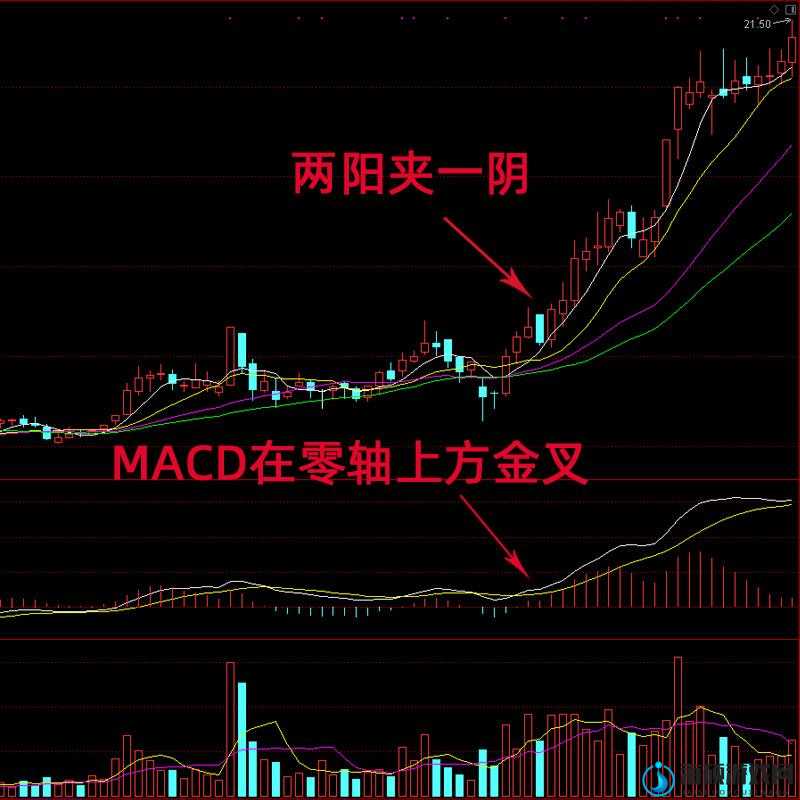 两阳夹一阴：探索股市中此形态的独特魅力与潜在机遇