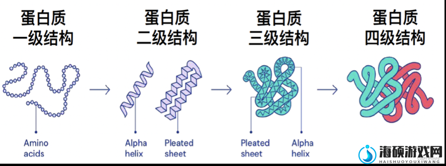 porin181719：解密蛋白质结构的关键