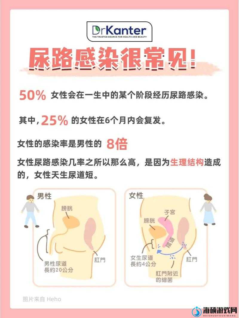 熟女尿尿：探讨女性生理与健康