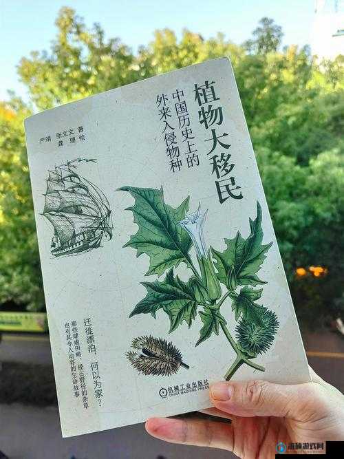 探究生态环境与植物入侵的关系：以一杆大枪草一家三娘为例