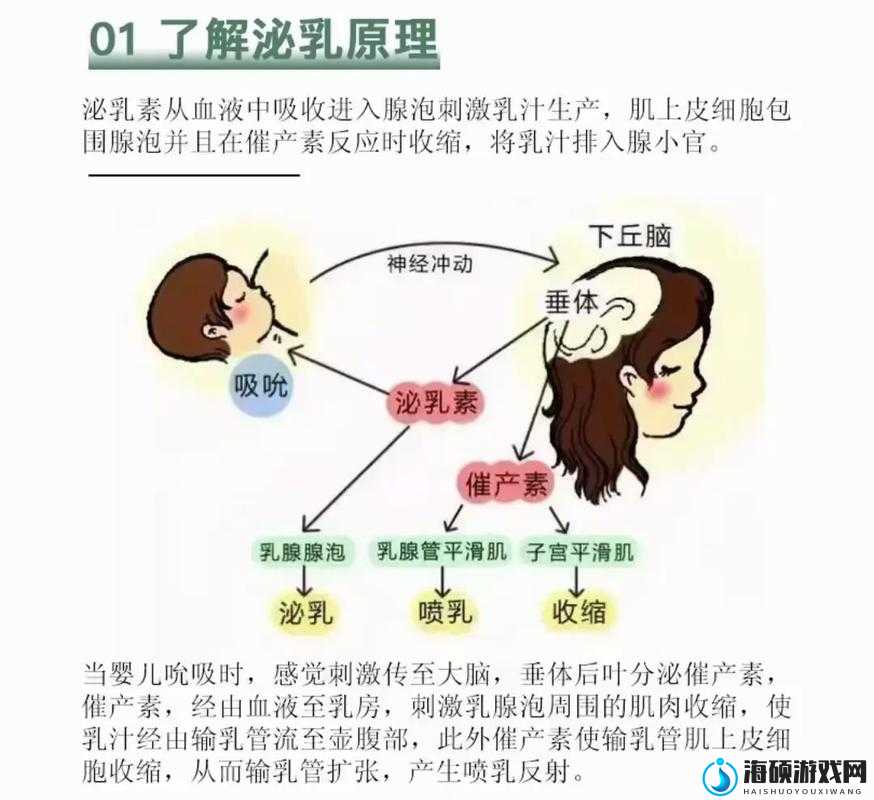 探讨女性胸部与泌乳行为：wwwcom 捏胸挤出奶的相关问题