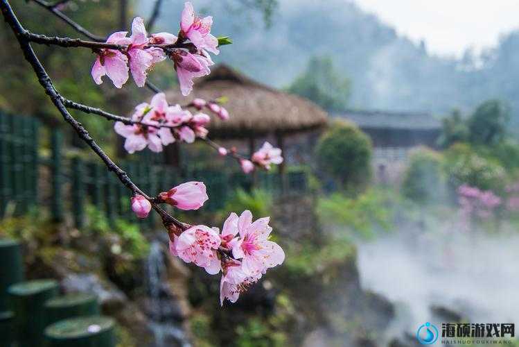 桃花源口水潺潺，那如诗如画的自然之景