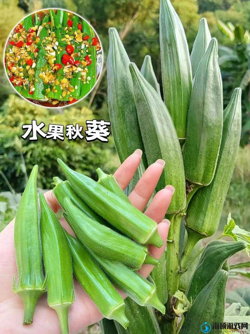 秋葵丝瓜茄子草莓榴莲樱桃：美味蔬果与诱人水果的集合