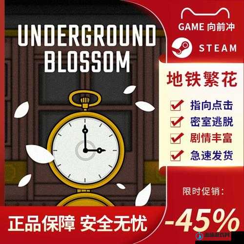 地铁繁花游戏攻略，深入解析Underground Blossom第一章初探技巧