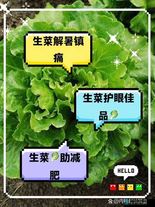 自然之力生菜究竟如何获取？全面解析生菜获得攻略来了！