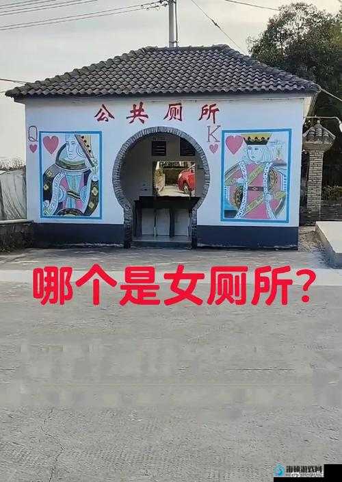 探秘中国公厕toilet美女沟厕：独特设计与文化背后的故事，你了解多少？