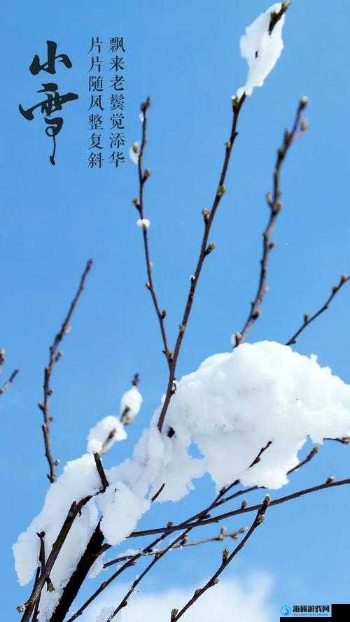 雪花与男友婚姻现状如何引发的相关思考雪花男友婚姻状况引发的种种疑问雪花男友婚姻状况背后的故事与探讨雪花与男友婚姻状态引发的诸多猜测雪花男友婚姻情形引发的一系列疑问雪花与男友婚姻状况所带来的诸多悬念