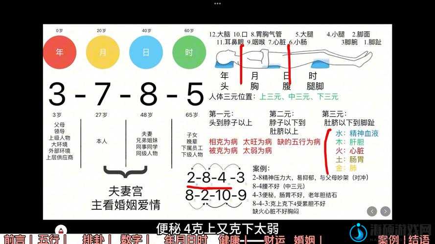 九玄 9.1 旧版安装有哪些注意事项？如何顺利进行九玄 9.1 旧版安装流程？九玄 9.1 旧版安装能否完美适配当前系统？