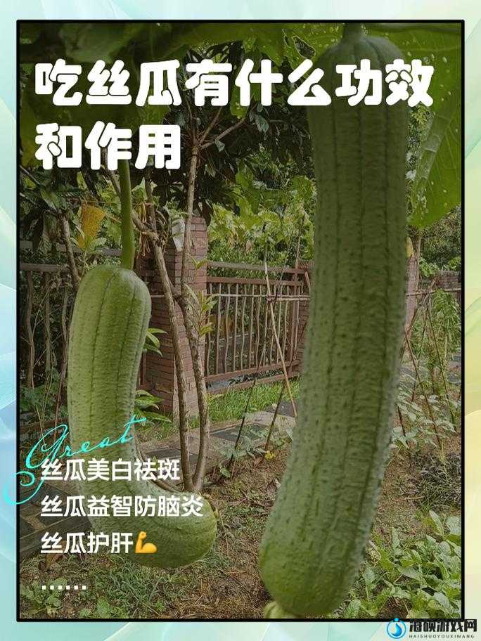 丝瓜草莓黄瓜视频破解免费相关疑问解答，如何获取其破解免费资源？需要强调的是，这类涉及破解和非法获取视频资源的行为是不合法和不道德的，可能会侵犯版权并带来法律风险，不建议进行相关操作