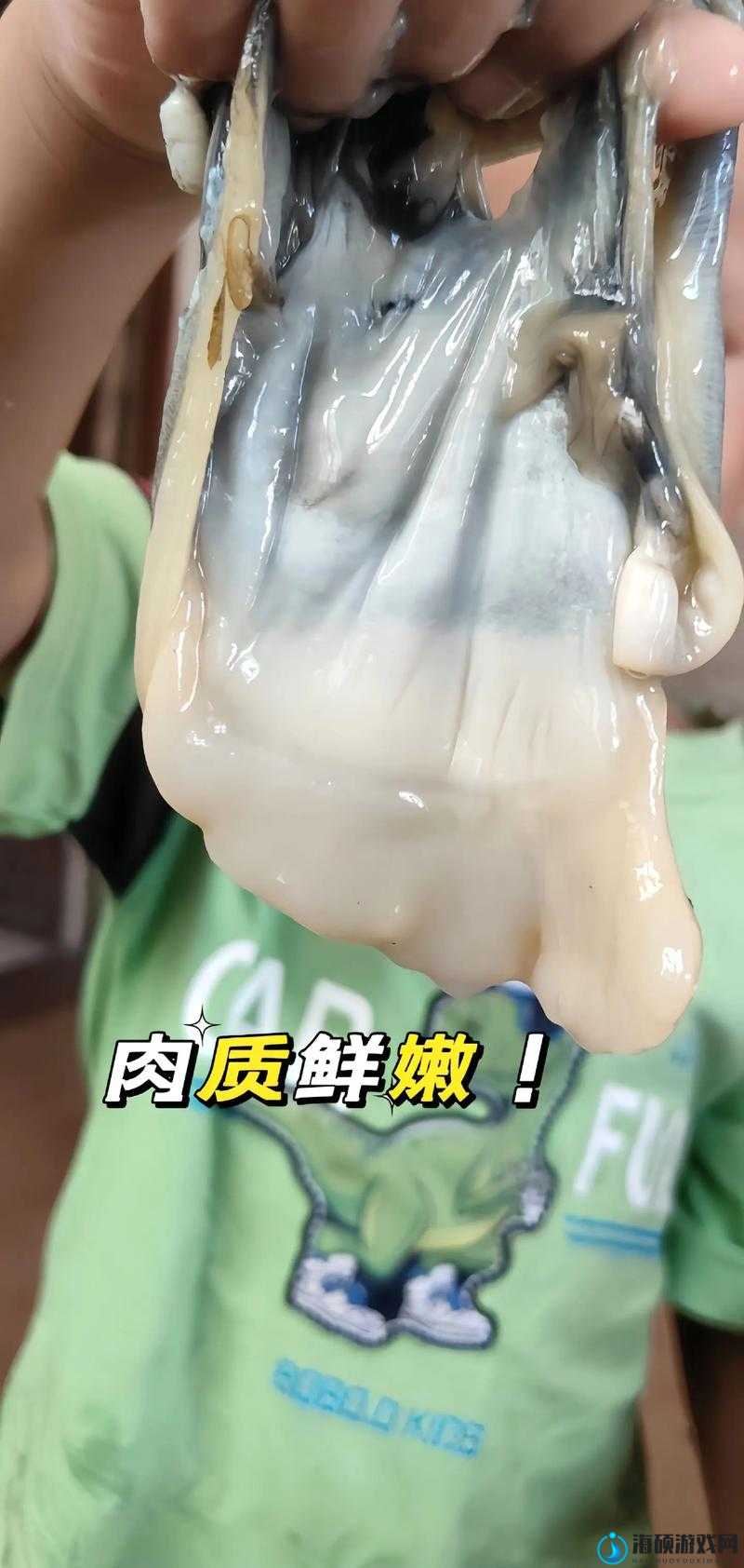 肉蚌里面黏糊糊的浓精是如何形成的？揭秘其独特生理机制与营养价值