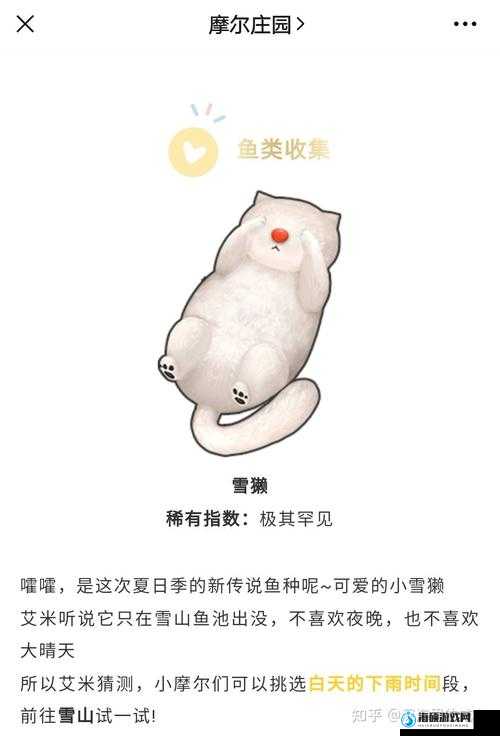 摩尔庄园手游隐藏玩法揭秘：雪獭钓鱼最佳位置在哪里？